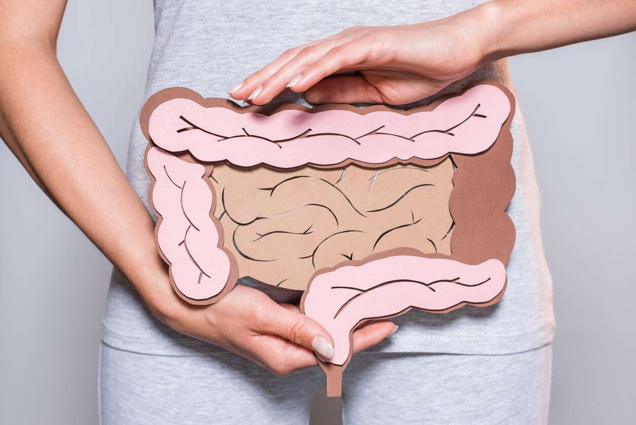Como equilibrar o intestino