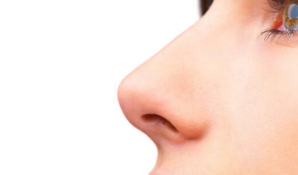tipo de nariz